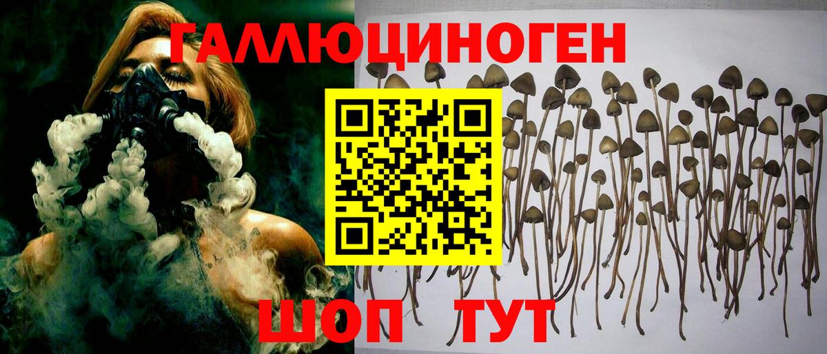 Псилоцибиновые грибы GOLDEN TEACHER  Вход с VPN  Златоуст  Псилоцибиновые грибы мицелий 